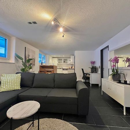 The R Apartment Froburg, Parking, Netflix, Golfplatz Obergosgen Zewnętrze zdjęcie