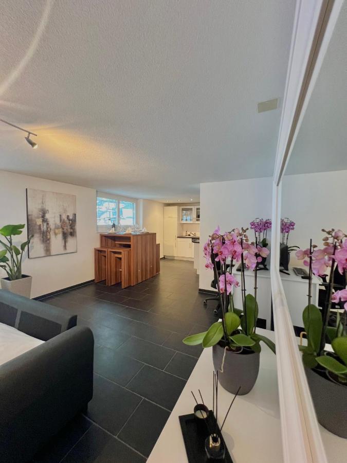 The R Apartment Froburg, Parking, Netflix, Golfplatz Obergosgen Zewnętrze zdjęcie